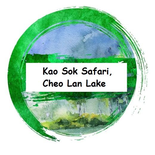 Kao Sok Safari, Cheo Lan Lake