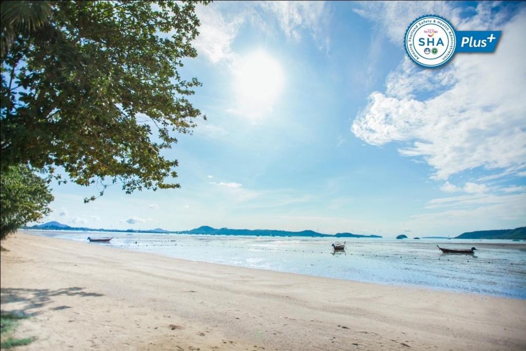 Studio apartments on the first coastline, Rawai