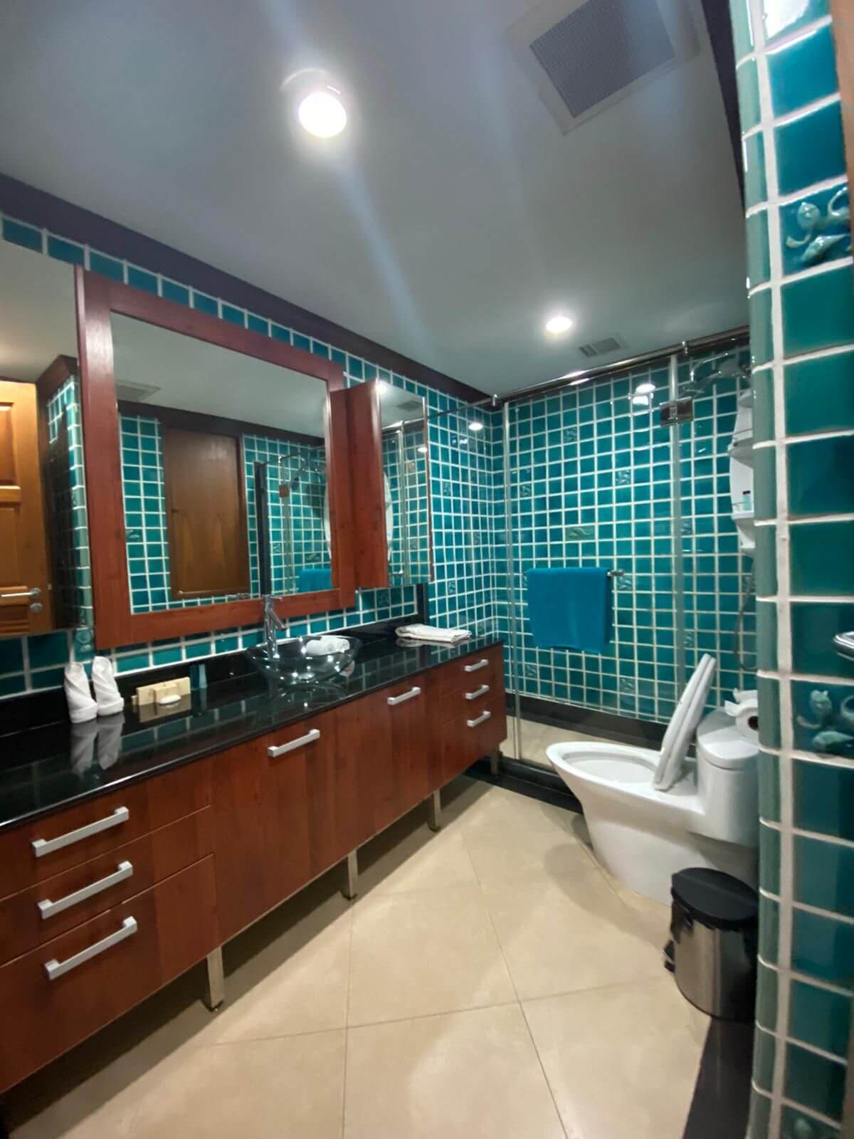 4 bedroom apartment with garden and sea view, Patong
