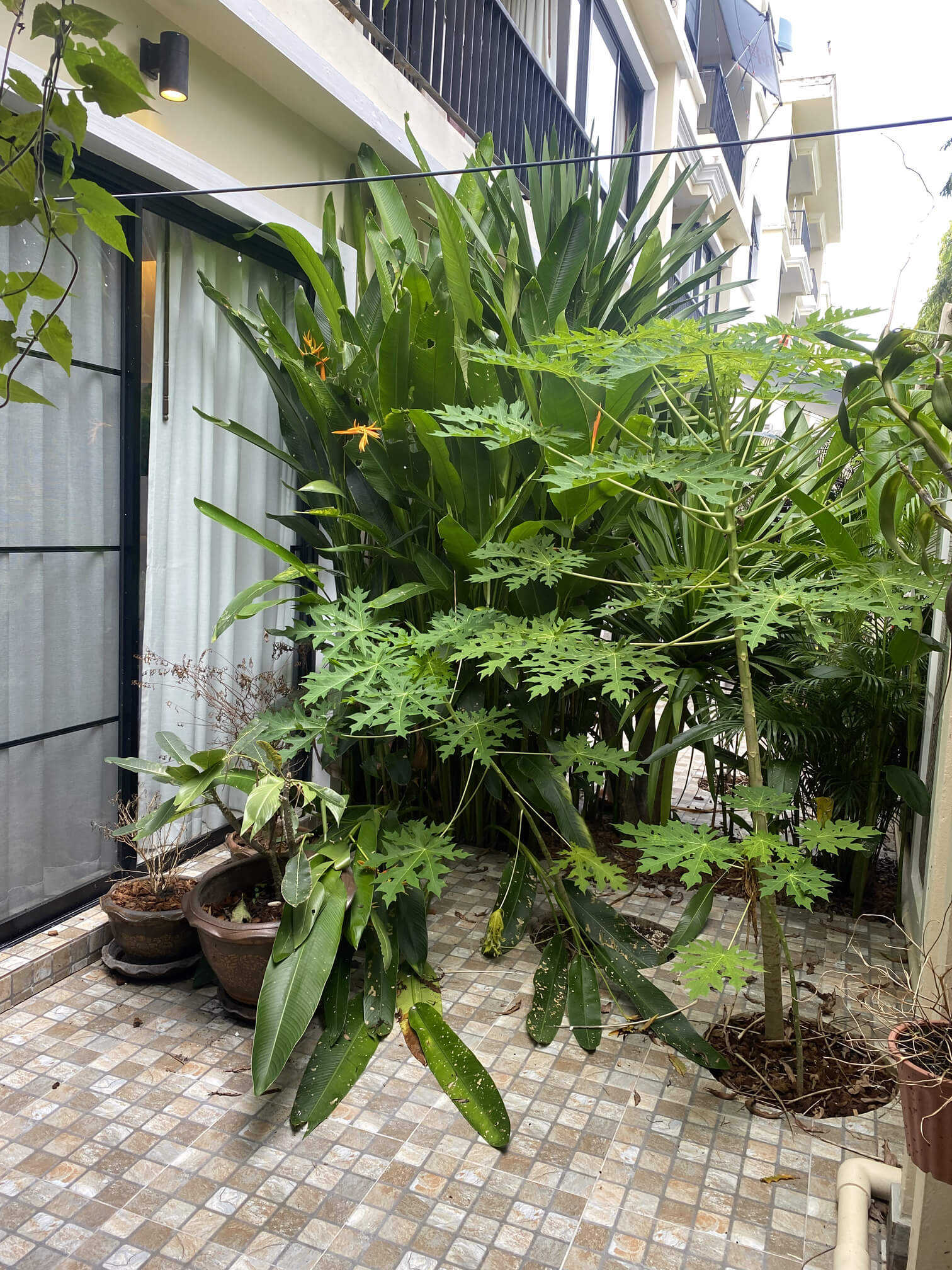 2-room apartment with a view of the city and greenery, Nai Harn