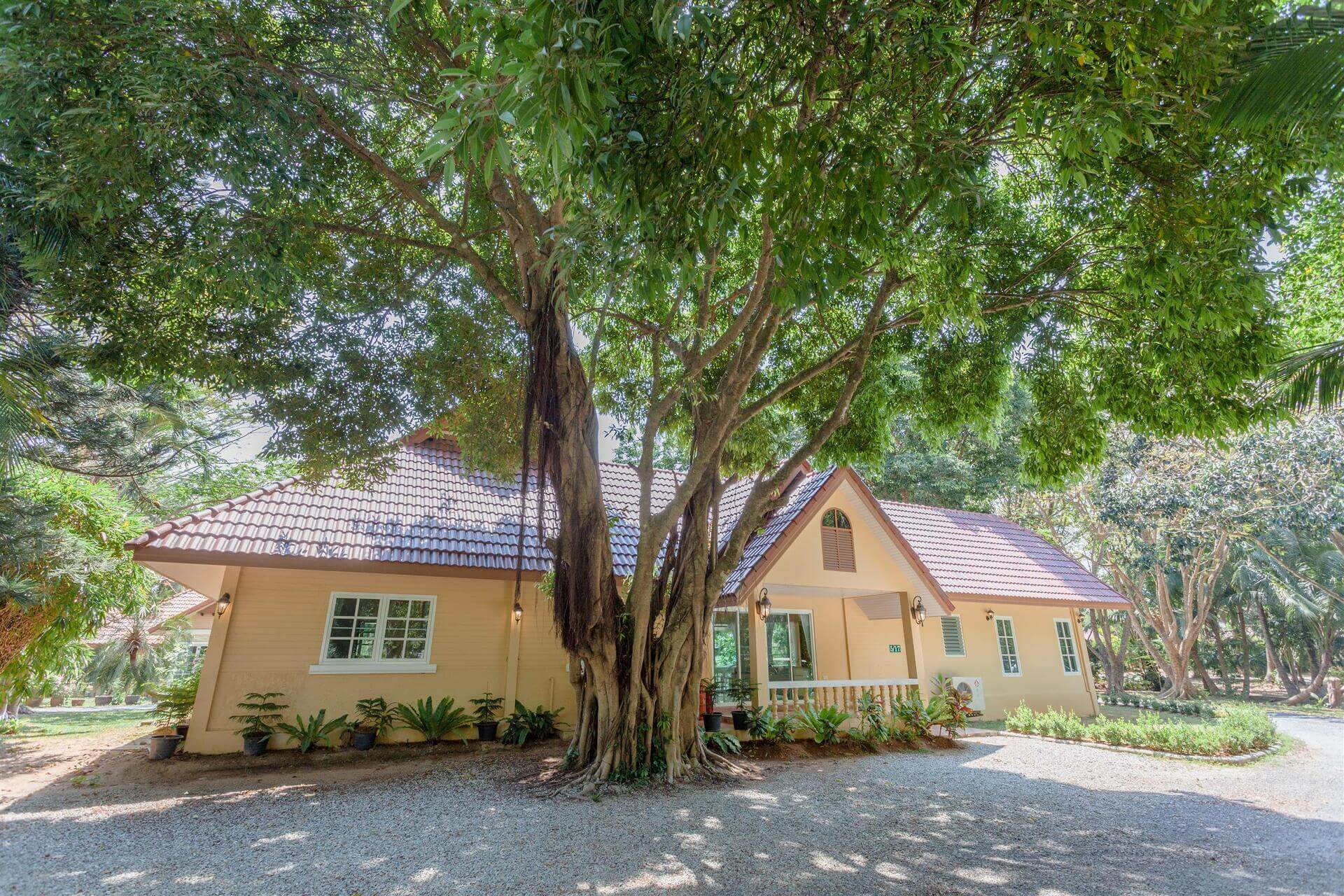 Cozy large villa with beautiful garden views, Chalong