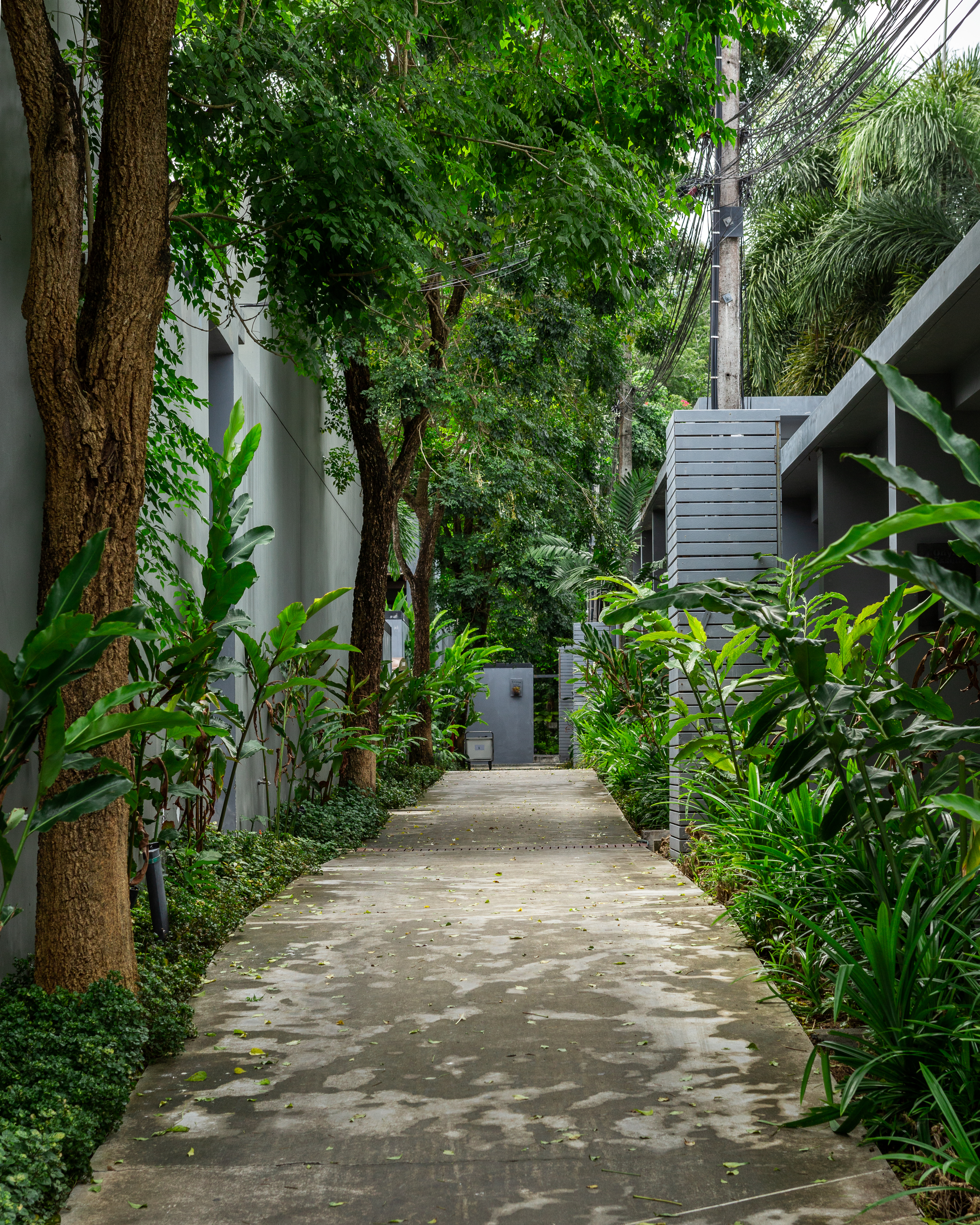 Villa with a pool in Nai Harn, 2 bedrooms