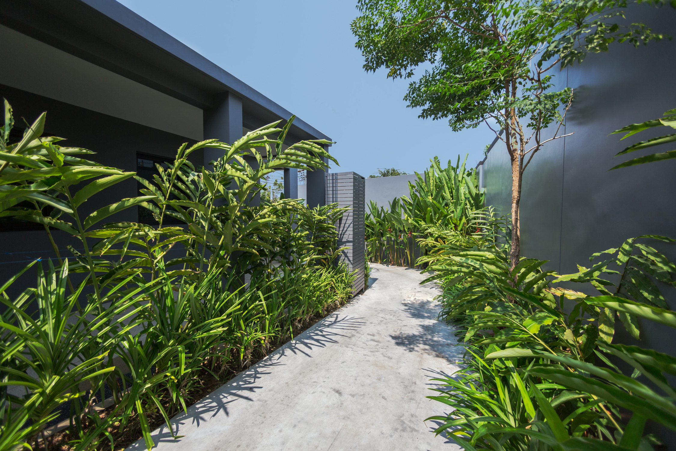 2 bedroom villa with a terrace and a pool in Nai Harn