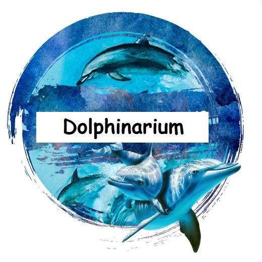 Dolphinarium