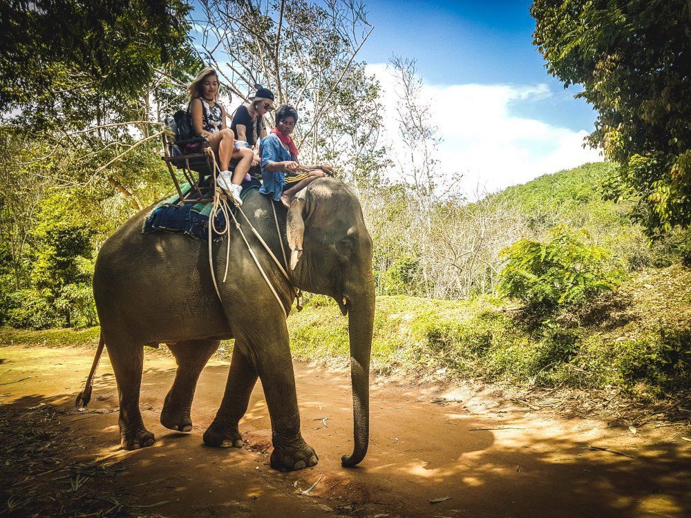 Author's and classic tours