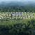 Ayana Luxury Villas 