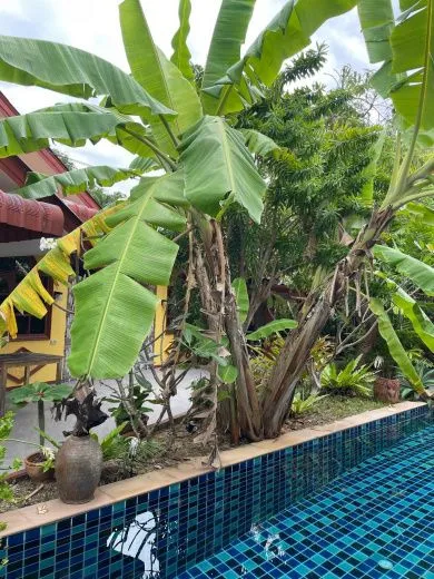 Spacious bungalow with pool access and landscaped garden, 1 bedroom, Kata Karon