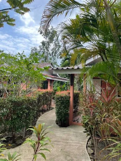 Bright clean bungalow with access to the pool and flowering garden, 1 bedroom, Kata Karon