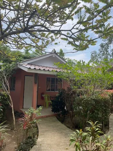 Bright clean bungalow with access to the pool and flowering garden, 1 bedroom, Kata Karon